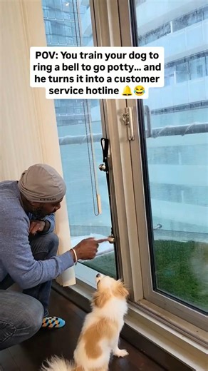 You accidentally gave your dog a power button😭#puppylove❤️ #dogreels #fypdogs #dogdad