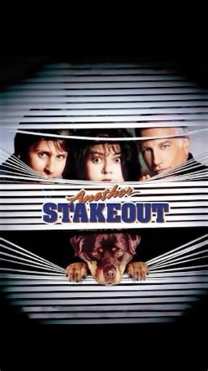 Another Stakeout (1993) #badsequels