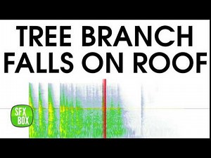 Tree Branch Falls on Roof Sound Effect