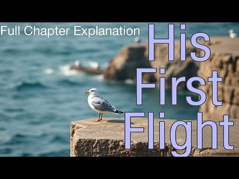 Class 10 English - His First Flight | Full Chapter Explanation 🦅 #cbseclass10 #english #ncert