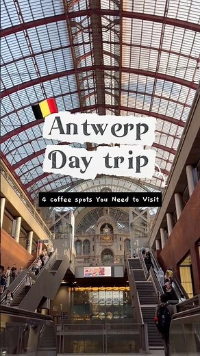 【ベルギー旅行🇧🇪】Antwerp's 4 spots recommendations☕️ #belgium #belgiumlife #antwerp #cafe #アントワープ #カフェ