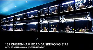 1.3K views · 56 reactions | FISH ALL DAY ERRR DAY!  We're getting...