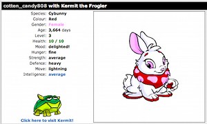 Ultimate Bullseye 2 Neopets Cheats