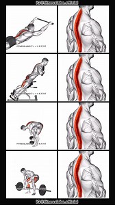 ✅ Erector spinae workout ① Back extension ② Weighted back extension ③ Stiff leg deadlift ④ Deadlift 3 sets 15 reps #fitness #gym #exercise #workout #workoutroutine #exercisetips #fitnesstips #bodybuilding #backworkout #backday #backpain | Fitnesslabo