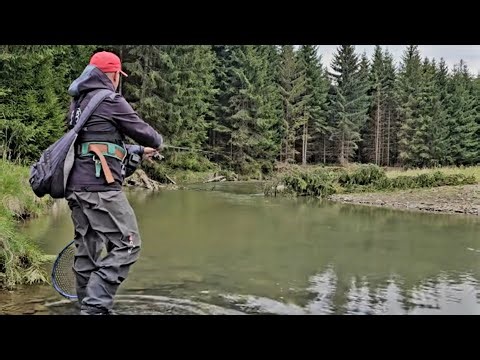 🎣 Am PESCUIT la CLEAN, PĂSTRĂV si LIPAN pe un RÂU EXTRAORDINAR !