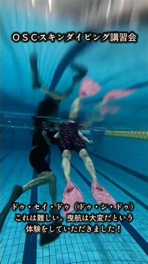 どうしても慌てちゃう…泳げるだけじゃ助けられない…水面レスキューの現実🛟✨ #スキンダイビング #水面レスキュー #曳航法#安全講習 #プールレッスン #水深2.5m #OSC