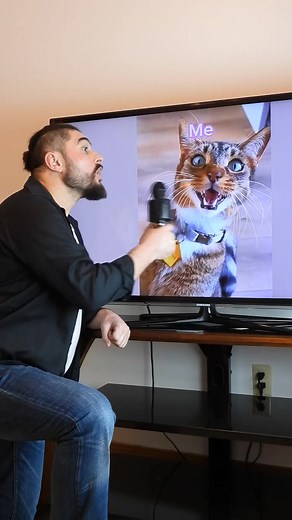 Hilarious Cat Comedy Compilation