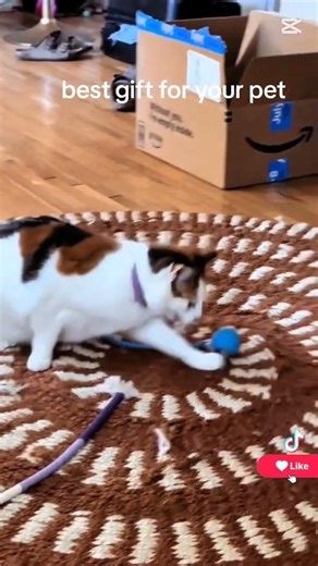 cats&dogs toys🪀 please check the link in comments #amazon #pets #gift