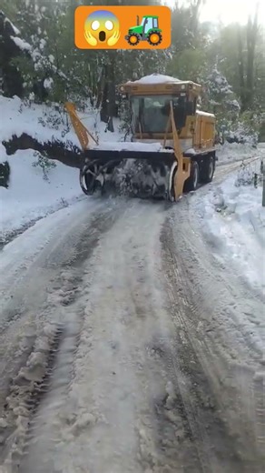 kodiak Snow cutter #snow