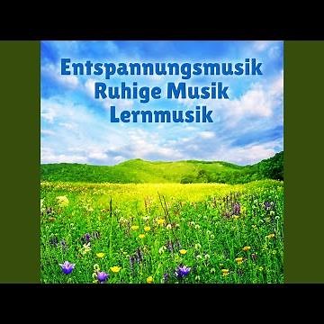 Musik zum Lernen