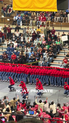 Congratulations to all the new initiates 🤍! *Disclaimer I only went to see one org this day*