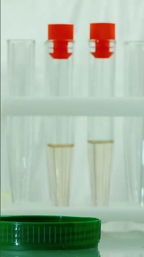 Quick Guide to DOT Testing Process