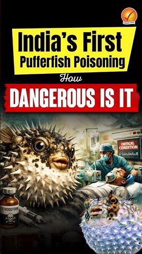 India’s First Pufferfish Poisoning: How Dangerous Is It?