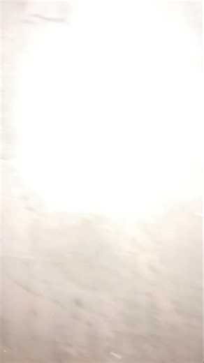 195K views · 3.3K reactions | Ingerul meu ❤️ #horse #horses #horsesofinstagram #equestrian #horseriding #pony #equine #pferd #equestrianlife #dressage #horselove #reels #love #horselover #showjumping #cheval #photography #horselife #nature #foryou #fyp #america #pets #caballos #riding #horsebackriding #cavalo #horsephotography #pferdeliebe #instagram | lupusor_sb | Facebook