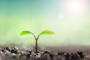 BeatSaber(ビートセイバー) Expert への道 | ぽりずむ