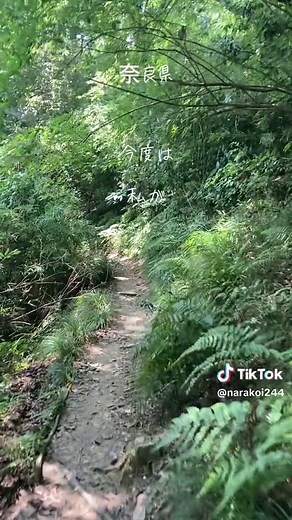 #奈良#移住#生駒山##生駒山上遊園地 #八大龍王#暗峠#くらがりビレッジ #エッグサンド #ひよこ#天然サウナ#心整う#自然の恵みに🥲#いつもありがとう#KinKi Kids