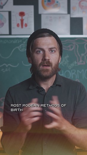 Here’s how “the pill” actually works. #learnontiktok | birth control