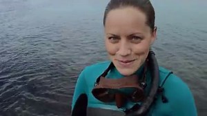 5.7K views · 74 reactions | The Galapagos Islands are one of the world's foremost destinations for observing wildlife. #WildGalapagos | National Geographic Canada | Facebook