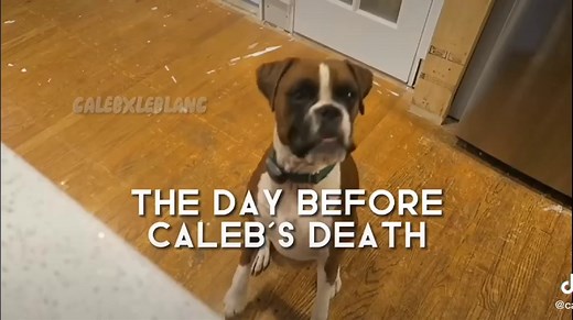 #calebleblanc #calebleblancedit #bratayley #bratayleymakeshistory #bratayleyedit #edit #calebxleblanc