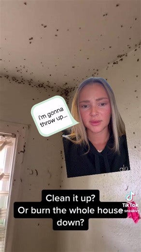 It's never been easier to take care of roaches yourself. Offering powerful bait, ultra-adhesive glue, and a multipurpose design, the Catchmaster Roach Glue Traps are the solution you've been searching for. Get yours now: https://ow.ly/LryI50WTiqs #Cockroach #infestation #pestcontrol #solution #Catchmaster | Catchmaster