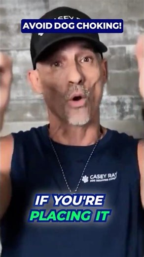 Still Training Your Dog with a CHOKE Chain? 🐕‍🦺 #shorts