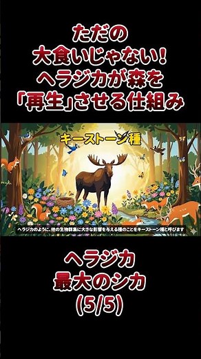 More than just big eaters! How moose "regenerate" forests