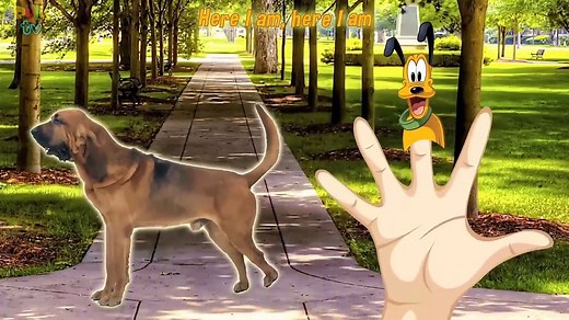 Madagascar finger family | Alex, Marty, Gloria, Melman | Nursery Rhymes Collection