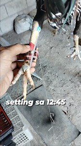 69K views · 1.4K reactions | Tutorial | Cortes Tutorial Vlogs | Facebook