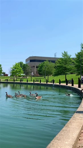 Remember, always follow your orientation leader closely. 🪿 #NorseUp #NKU