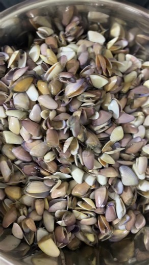 Solo para conocedores😋 #fyp #chiclayo #palabritas #ceviche #riconorte