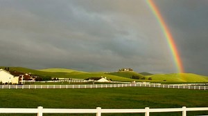 Macro and Farm Financial Update - farmdoc