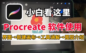零基础小白看过来！保姆级别Procreate软件使用教学，手把手带你了解软件以及使用！
