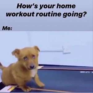 7.1K views · 143 reactions |  | Candy Girls | Facebook