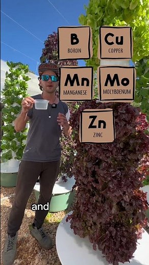 No soil, no problem! #Hydroponic and #aeroponic crops are just as nutrient-dense. #verticalfarming
