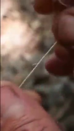 14K views · 293 reactions | Primitive Fishing In It's Serenity #primitiveskills #survivalskills #fishinglife #fishing #caveman #survival #viralreels #reels | Chad Zuber | Facebook