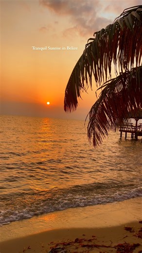 Wake up to an amazing beach sunrise in Belize 🍃✨🌅 . . . . . #belizehub #travelbelize #belize #belizeit #belizelife #belizetravel #sunrise #beachsunrise #placenciabelize #placencia | Belize Hub