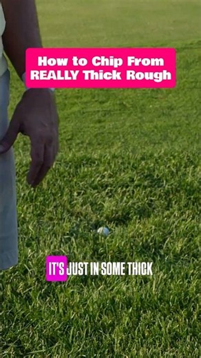 How to Chip From REALLY Thick Rough #golftips #shortgame #golf