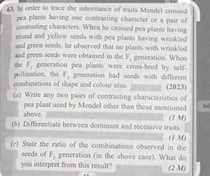 In order to trace the inheritance of traits Mendel crossed pea ... | Filo