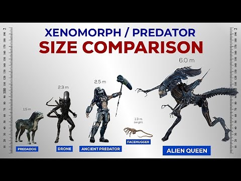 Xenomorph and Predator Size Comparison!