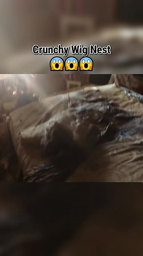 Crunchy Wig Nest 😱😱😱 #cleantok #cleaning #cleaningtiktok #cleanwithme #crime #crimescenecleaners #crimescenecleaning #foryou