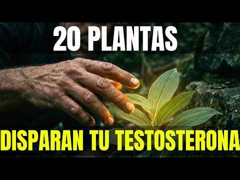20 Plantas que Disparan la Testosterona y el Deseo Sexual