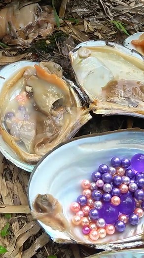 😱👍 Pearl Girl's Fairy - Tale River Exploration: Uncovering a Mutant Clam with Pearls of Wonder #pearl #pearls #gems #gemstones #reels | Hai jiang
