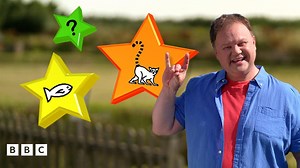 Makaton Quiz: Animals