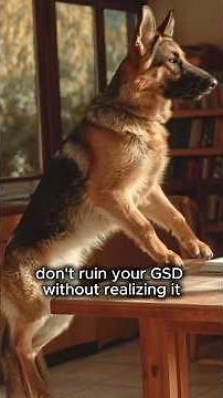 10 Mistakes That Can Ruin Your German Shepherd (And How to Fix It)