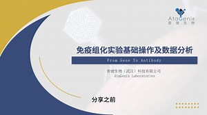 【基础实验一篇搞定】免疫组化——IHC实验基础操作