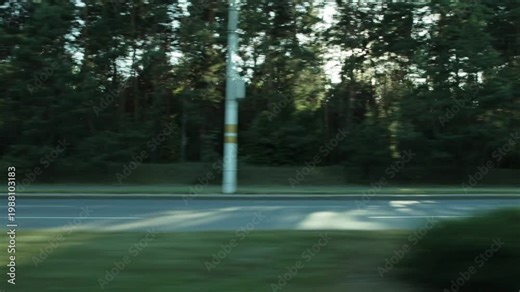 View from moving car window of dynamic roadside scene. Sunlight creates lens flare as it filters through lush woodland. Fast-paced travel background, speed sensation and natural environment.