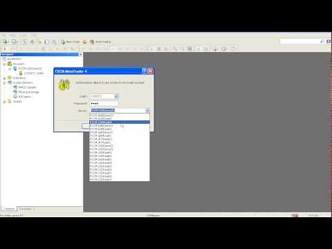 MetaTrader 4 Waiting for Update Error James Possible aka DSDominationDad