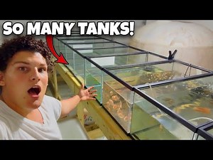 Buying Every 40-Gallon Aquarium I Could Find!