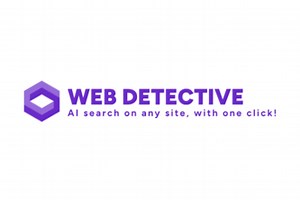 Web Detective