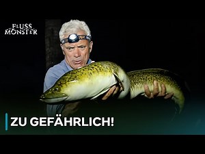 Die BESTEN Flussmonster der 7. Staffel! 🤯 | Fluss Monster